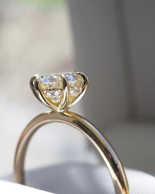 1.5ct Round Brilliant Cut Hidden Halo  Designed to dazzle, the diamond’s brilliance makes it an ideal choice for engagements, weddings, anniversaries, or any special occasion.  YouTube Amazon Facebook Weather Google Gmail Wordless WhatsApp Web Translate News blog post ring ceremony Article Life Money 2025 design Ring Ceremony Diamond Shape Diamond Ring Surat Diamond India Market Diamond Ring for Her Diamond Ring for Men Diamond Ring Women Engagement Ring Finger For Her Finger Ring Gold Ring Bluestone Ring 